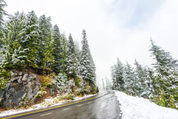 пустая дорога к горе со заснеженными пейзажами в зимний сезон. - tree leavenworth snow sky стоковые фото и изображения