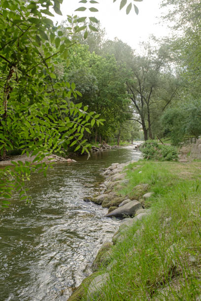 istock Water river stream flowing between green leaves on a deep forest 1250001694