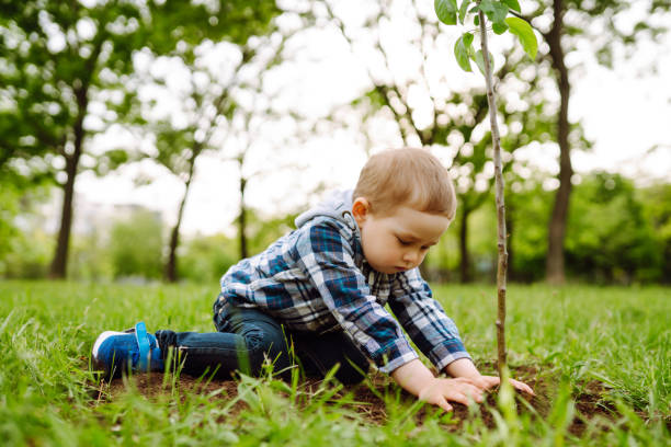 istock Little child  plants young tree. 1250002434