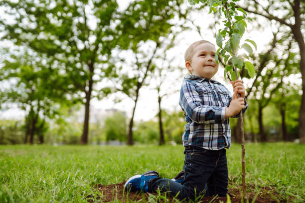 istock Little child  plants young tree. 1250002464