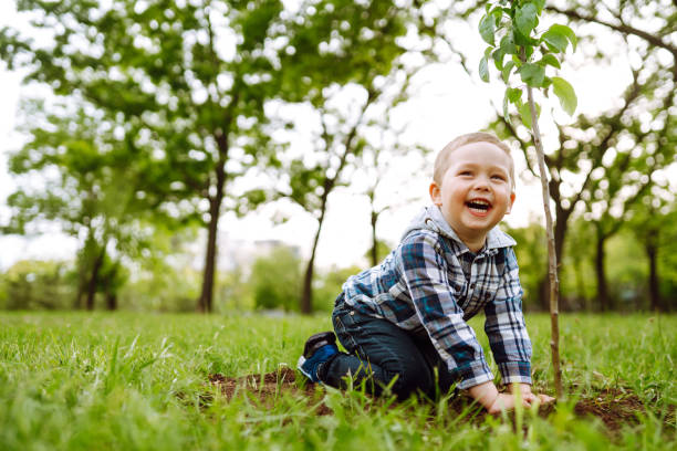 petit enfant plante un jeune arbre. - nature spring new life tree photos et images de collection