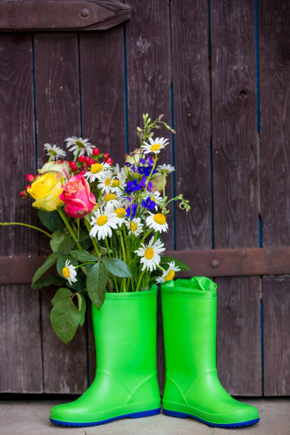 istock Rubber boots with beautiful flowers 1250009978