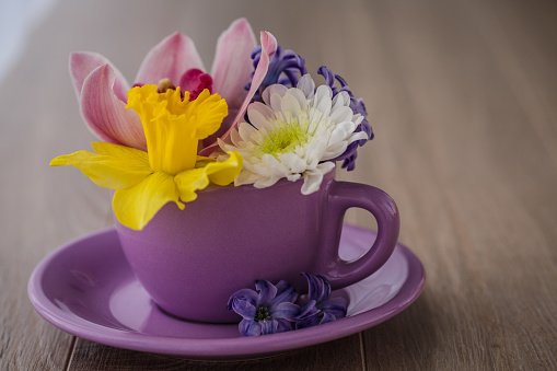 Close up shot of a lilac tea cup filled with arrangement of yellow daffodil, purple hyacinth, white dahlia and a pink lily put on a wooden table as a decoration.