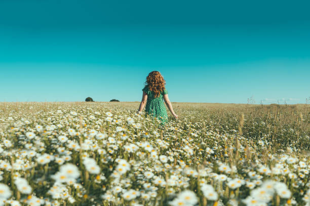 istock woman on her back with open arms in a field of daisies 1250017543