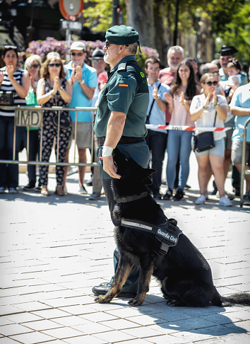 Seville, Spain - May 30, 2019: Civil guard with trained dog. Seville host the Military parade on Armed Forces Day to commemorate 30 years of overseas peace-keeping missions