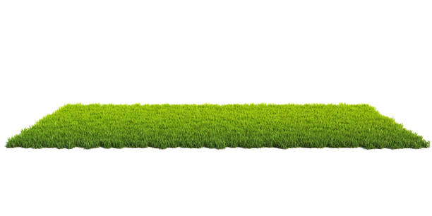Small square surface covered with grass, grass podium top view, lawn background 3d rendering