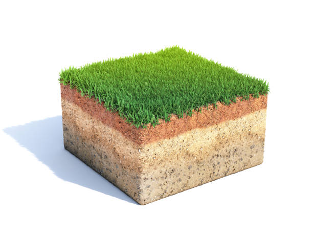 istock Small square surface covered with grass, grass podium top view, lawn background 3d rendering 1250020666