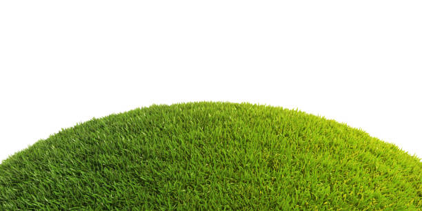 白い背景の3dレンダリングに緑の草芝生のハンモック - hillock ストックフォトと画像