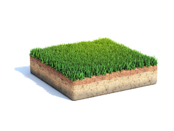 잔디로 덮인 작은 사각형 표면, 잔디 연단 상단 보기, 잔디 배경 3d 렌더링 - hillock 뉴스 사진 이미지