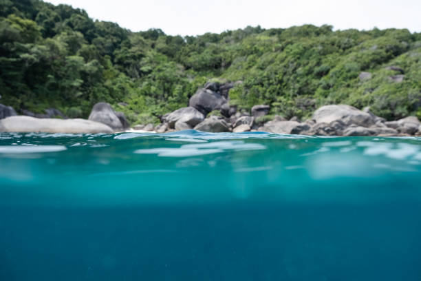 Underwater and wave surface sea in andaman island