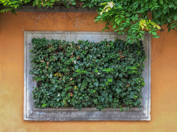 istock Orange wall background with rectangle with green leaves. Copy space 1250031348