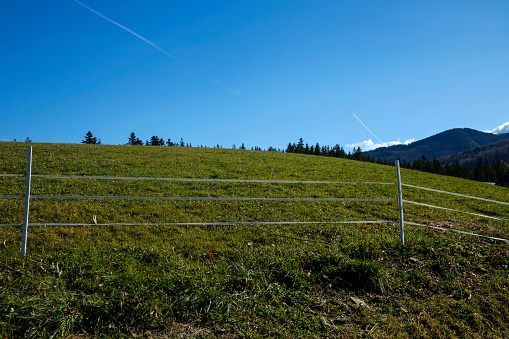 pasture meadow with electronic keeper against blue sky