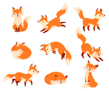 Foxes in different poses cartoon set. Cute little animal standing, sitting, running, jumping, lying, sleeping. Curious vixen. Vector illustration collection isolated on white background.