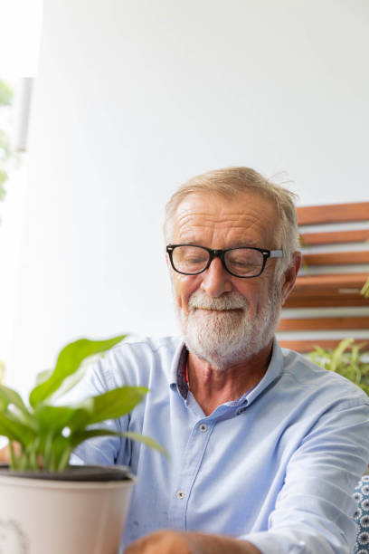 istock Senior retirement man is watering his small plant while relax at home 1250035110