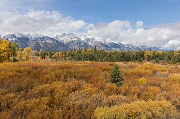 istock Scenic Autumn Landscape in the Tetons 1250036833