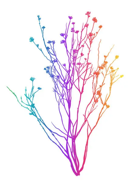 Vector illustration of Decorative Natural Branch Element Rainbow