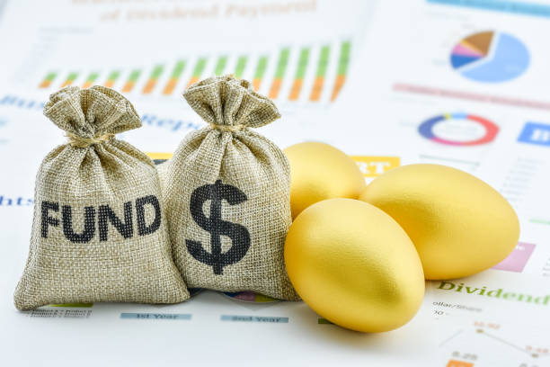 Bags of fund, US USD dollar and golden eggs on a company summary report Global equity income fund / capital growth, financial concept best gold ira stock pictures, royalty-free photos & images