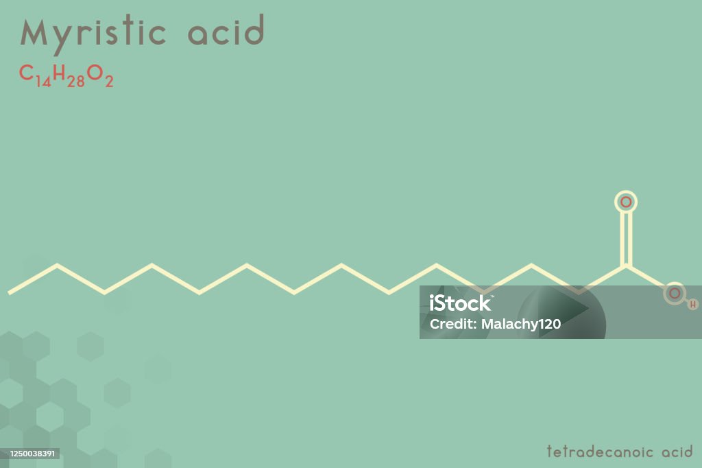 Infographic Of The Molecule Of Myristic Acid Stock Illustration