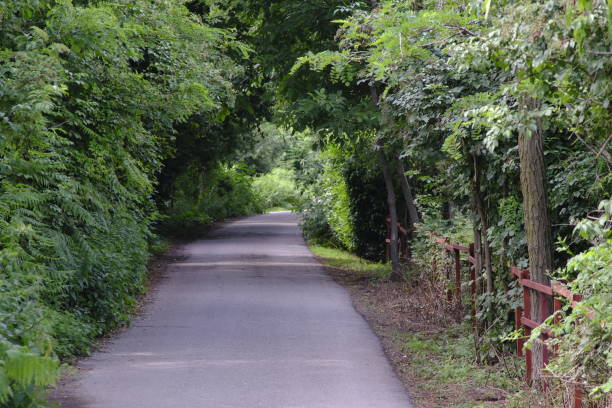 istock Country road 1250039818