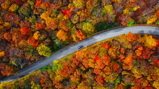 vista aerea dall'alto della strada di montagna tortuosa all'interno della colorata foresta autunnale - autumn landscape hill tree foto e immagini stock