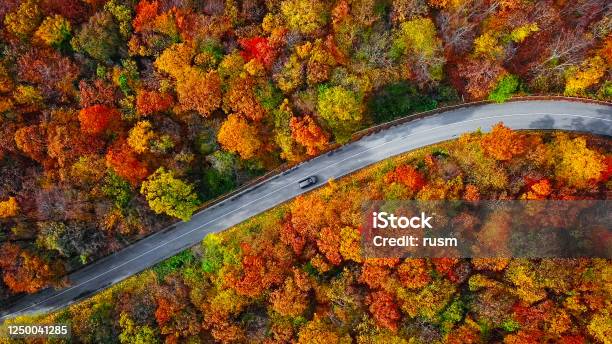 Overhead Aerial View Of Winding Mountain Road Inside Colorful Autumn Forest Stock Photo - Download Image Now
