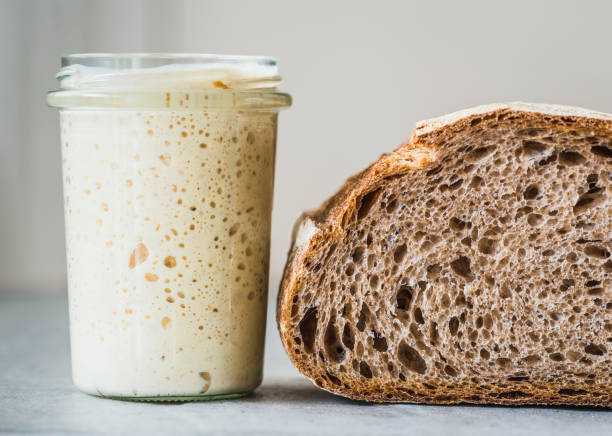 Sourdough homemade baking copy space. Sourdough homemade baking copy space and fresh bread. yeast starter stock pictures, royalty-free photos & images