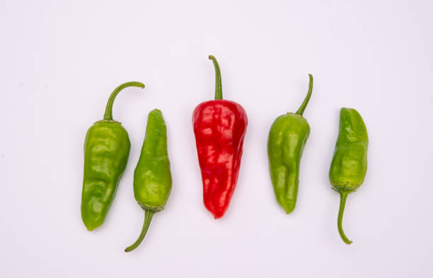 istock Red isolated chili pepper close up view with white background and copy space 1250041896