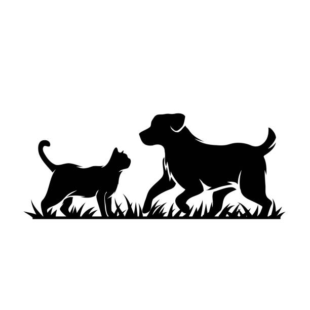 stockillustraties, clipart, cartoons en iconen met silhouet van kat en hond - cat and dog