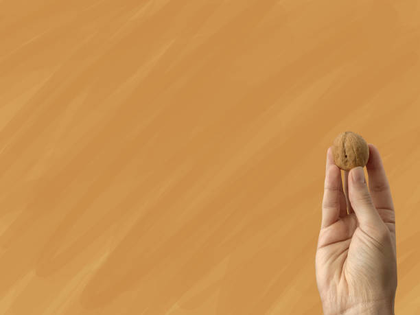 istock Close up. Hand holds a walnut on a orange background. 1250044910