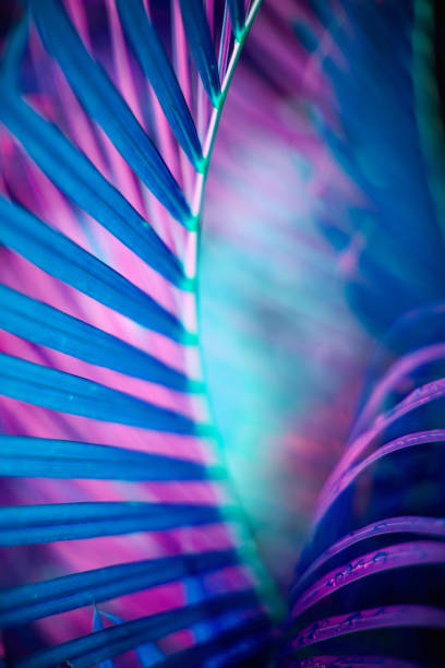 istock Neon colored palm tree leaves. Tropical trees background 1250045069