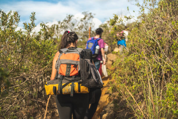 istock Adventurers walking on the mountain 1250045130