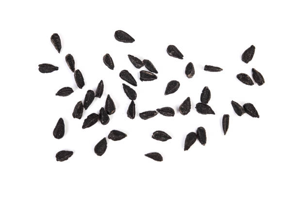 istock Nigella sativa or Black cumin isolated on white background. Top view. Flat lay. 1250048152