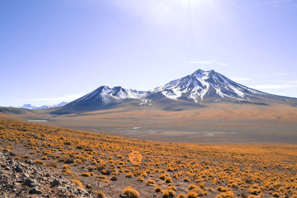 Tour of altiplanic lagoons in San Pedro de Atacama, Chile.