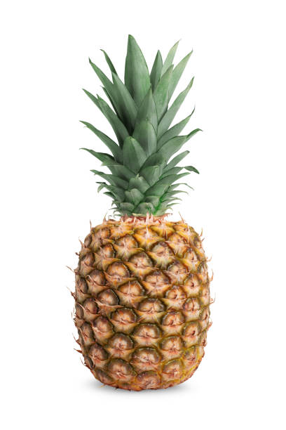 istock Ripe pineapple isolated on white background. 1250057267