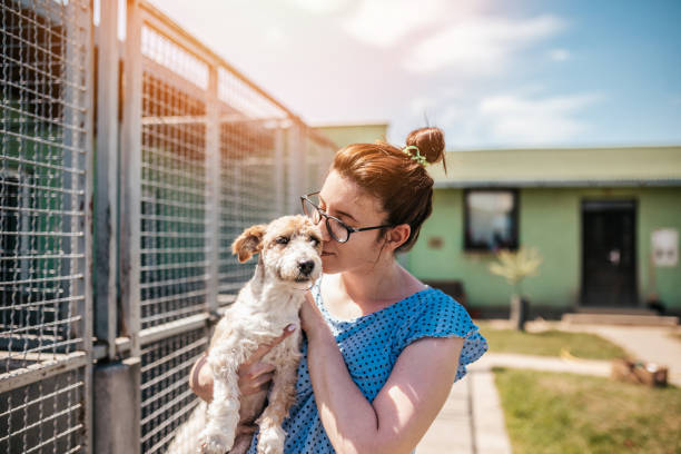 istock Animal shelter 1250059738