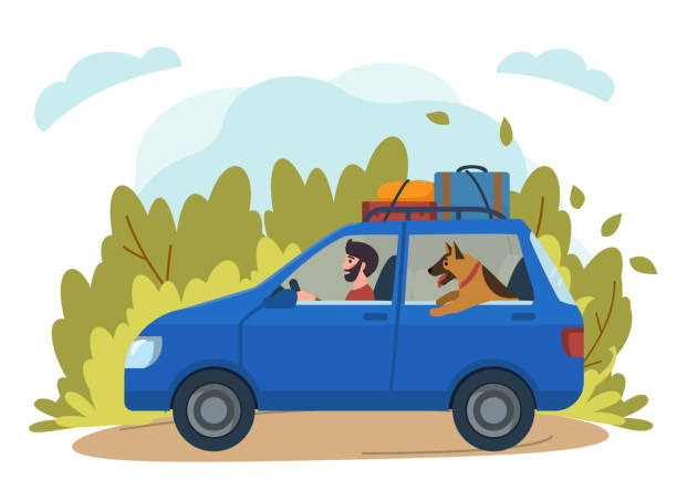 illustrazioni stock, clip art, cartoni animati e icone di tendenza di viaggiare con i cani. illustrazione dell'uomo in sella a un'auto con il cane. vettore stock. - dog car