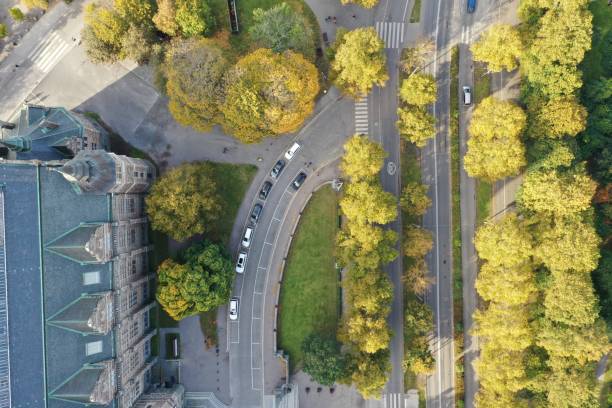 istock Autumn in sweden 1250067158