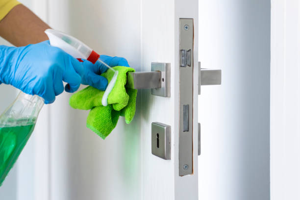 istock Woman cleaning a door handle with a disinfecting spray 1250068901
