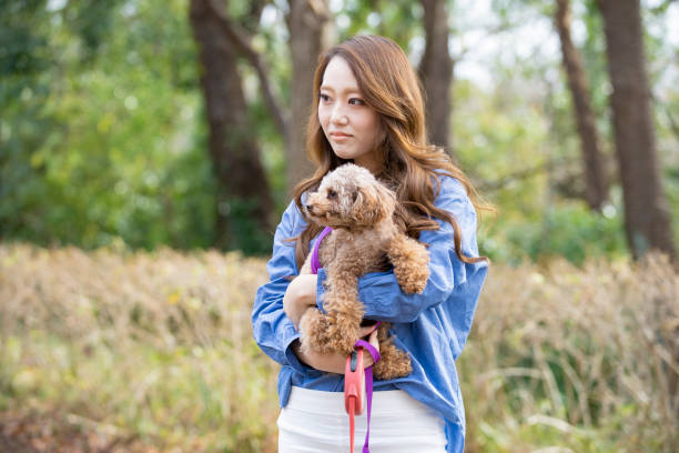 istock young asian woman with her pet 1250073862