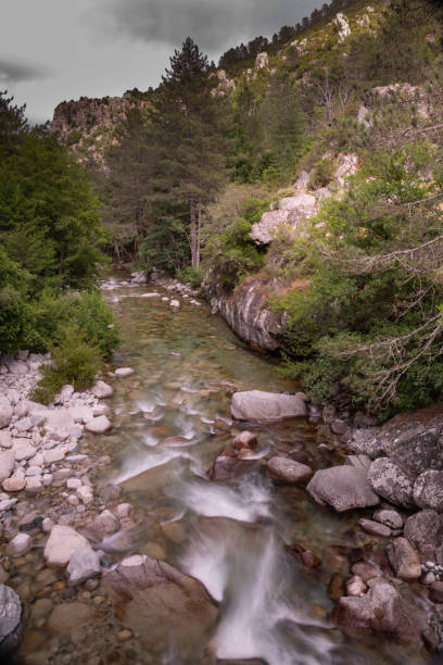 istock La Restonica, Corsica. France 1250074456