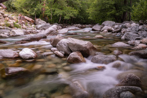 Water flowing through the beautiful valley in the heart of the island of Corsica, in the Mediterranean