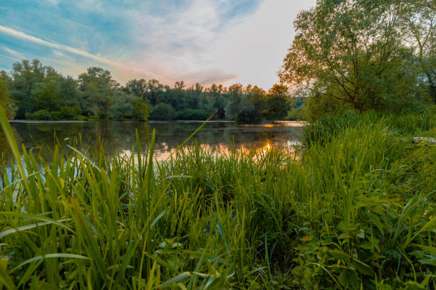 istock Colourful sunset with reflections in the pond in the natural park Eijsder Beemden 1250077105