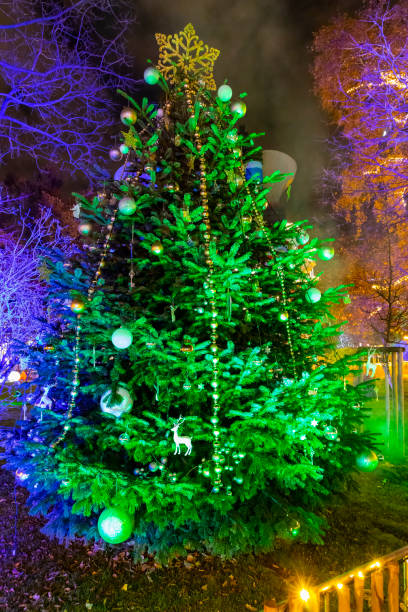 istock Christmas tree in Vienna, Austria 1250079704