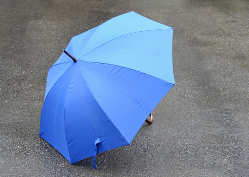 Closeup of an umbrella on wet pavement in the Pacific Northwest.