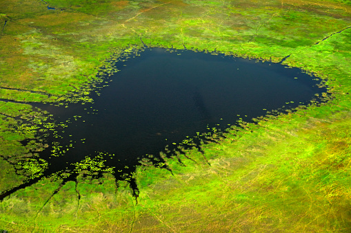 Aerial landscape in Okavango delta, Botswana. Dark water lake, view from airplane. Green vegetation in South Africa. Trees with water in rainy season.