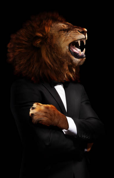 Boss concept lion in the office formal suite an shirt on black - dangerous businessman image mixed media