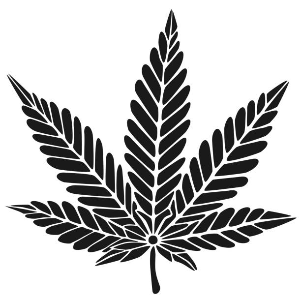 ilustrações, clipart, desenhos animados e ícones de cannabis em preto e branco como vetor personalizável - customizeable