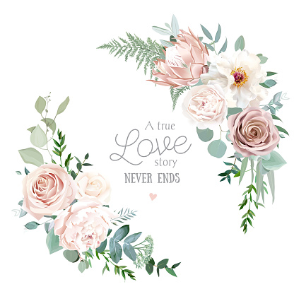 Silver sage and blush pink flowers vector round frame. Creamy beige and dusty rose, white peony, protea, ranunculus, eucalyptus. Wedding floral. Pastel watercolor background. Isolated and editable