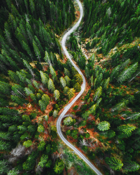 sommerwald-luftaufnahme in der schweiz - road winding road curve mountain stock-fotos und bilder