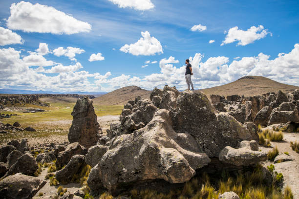 young man standing on a rock in the stone forest